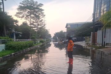 Selasa siang, banjir rob di permukiman warga Jakarta Utara telah surut