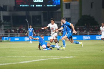 Prediksi skor Malut United vs Persib: susunan pemain dan prediksi skor