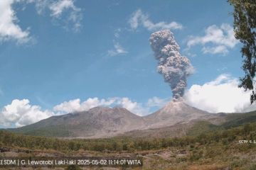 Status Gunung Lewotobi Laki-laki jadi Awas malam ini