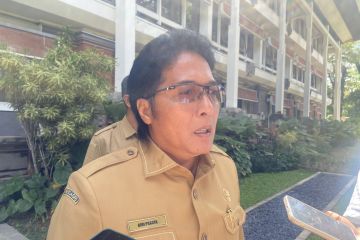 Wagub Giri tegaskan tak perlu ormas luar buat jaga Bali