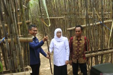 Gubernur Jawa Timur meluncurkan KUR petani tebu