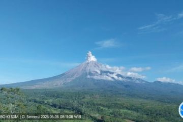 Gunung Semeru hari ini tiga kali erupsi dengan letusan hingga 700 meter