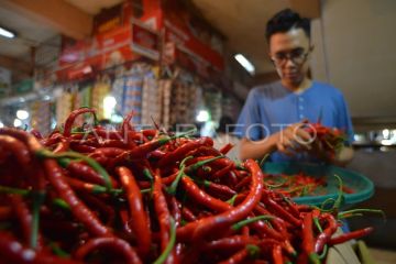 Inflasi Sumatera Barat April 2025 tertinggi Nasional