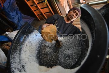 Harga kelapa melambung di Padang