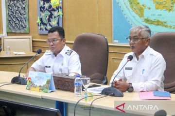 Pemkot Belitung awasi ketat anjing liar di jalan hingga bandara