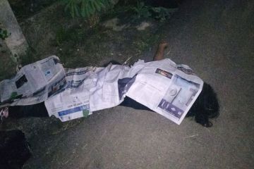Seorang pria di Kalideres tewas diduga korban pembunuhan