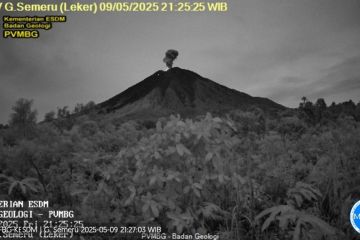 Gunung Semeru malam tadi erupsi 13 kali dengan tinggi letusan hingga 1.000 meter