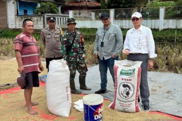 Bulog Jabar menargetkan serap 552.099 ton beras petani pada Mei