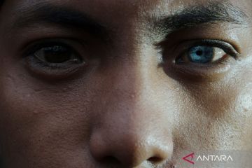 Mata biru Suku Buton