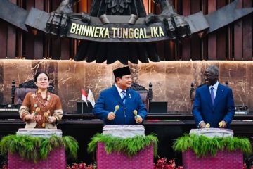 Presiden Prabowo tegaskan RI dukung Palestina tak pernah surut