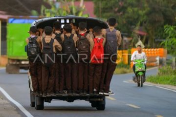 Transportasi cigak baruak di Pesisir Selatan