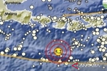 Info Gempa bumi hari ini baru saja di Lombok Tengah terasa hingga di Bali