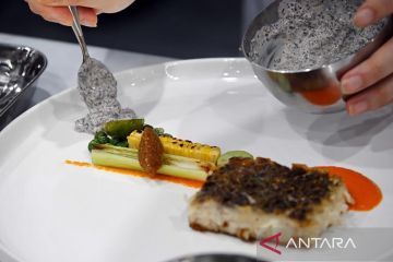 Melihat dari dekat kompetisi memasak di Korsel