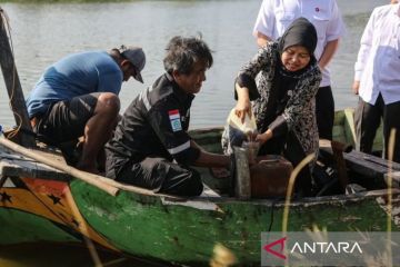 BRIN: Efisiensi pembuatan bahan bakar dari sampah mencapai 60 persen