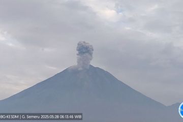 Gunung Semeru hari ini kembali erupsi dengan letusan setinggi 1.200 meter