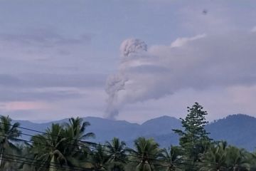 Gunung Dukono kembali erupsi, asap dan abu vulkanik muncul Kamis pagi ini