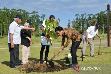 Wapres tanam pohon ulin di IKN, simbol ketangguhan dan harapan