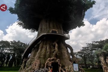 Menikmati panorama Puncak Bogor dari ketinggian wahana Pohon Kehidupan