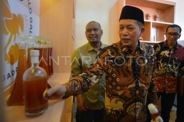 Musyawarah desa khusus koperasi merah putih di Padang