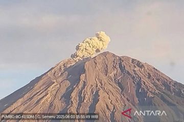 BPBD Kota Malang data dampak hujan abu vulkanik Gunung Semeru