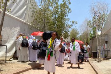 Kemarin, jamaah haji padati Arafah sampai sapi kurban dari Presiden