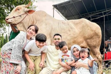 Ayu Ting Ting hingga Raffi Ahmad berkurban pada Idul Adha 1446 H
