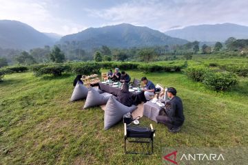 Menikmati hangatnya teh di tengah perkebunan ala Plataran Puncak
