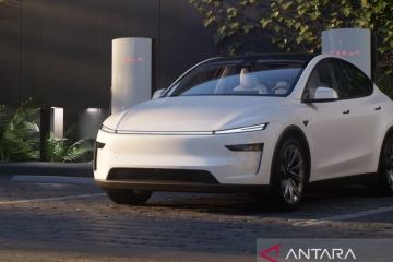 Robotaxi pertama Tesla terlihat mengemudi sendiri jelang peluncuran
