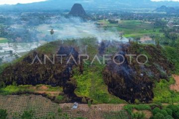 Kebakaran hutan dan lahan di Limapuluhkota