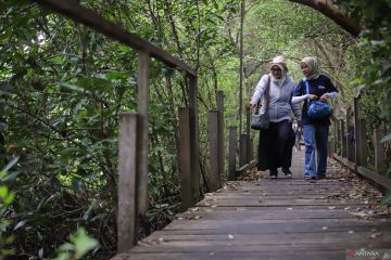 Ekowisata Banyuurip Mangrove Center di Gresik