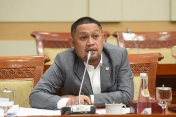 Anggota DPR minta tersangka konten pornografi anakdihukum maksimal