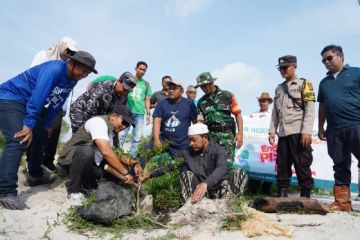 PT Timah tanam ratusan pohon peneduh di objek wisata Batu Tunggal