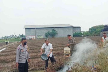 DLH ajak masyarakat ikut aktif jaga kualitas udara di Kota Tangerang