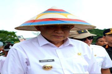 Serapan gabah dan beras Gorontalo oleh Bulog mulai capai target