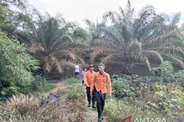 Seorang pemuda berkebutuhan khusus hilang di perkebunan sawit Bangka Barat