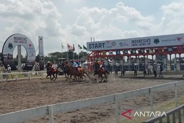 Ratusan kuda se-Indonesia berlaga dalam kejuaraan kuda balap di Bantul