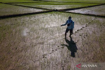 Kuota tambahan cetak sawaj baru di Konsel