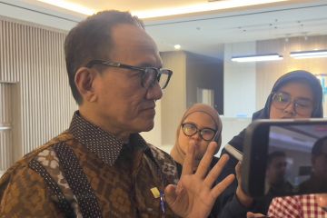 Wamensesneg ditunjuk jadi komisaris PLN