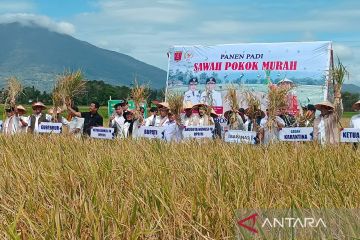 Komisi IV DPR RI tinjau ketahanan pangan program sawah pokok murah