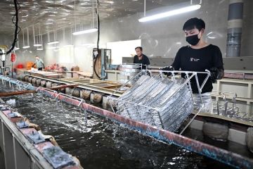 Wilayah Luyi andalkan industri kecantikan untuk dongkrak ekonomi lokal