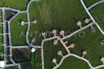 Destinasi wisata berbasis pertanian di Lembah Harau