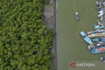 Kementerian LH akan rehabilitasi mangrove di Indramayu
