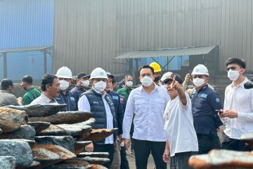 Wamen LH pimpin penyegelan tiga pabrik pencemar udara di Banten