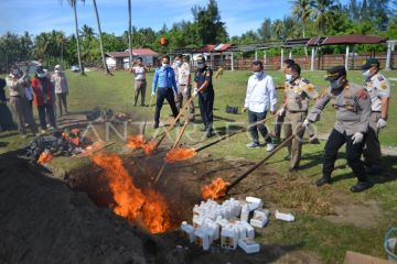Pemusnahan media pembawa hama penyakit di Padang