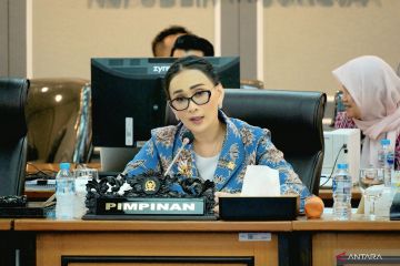 Anggota DPR minta platform digital berpihak ke kekayaan budaya lokal