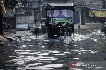 Dua RT di Jakut terendam banjir akibat curah hujan tinggi dan rob