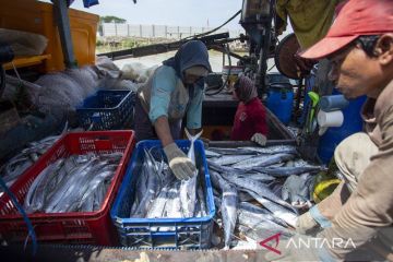 Realisasi PNBP Perikanan Smester Pertama