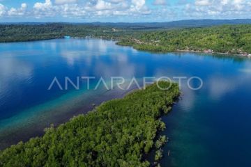 Potensi wisata mangrove Pulau Siberut Mentawai