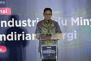 ESDM siap tawarkan 75 blok migas dengan potensi terbesar di Papua