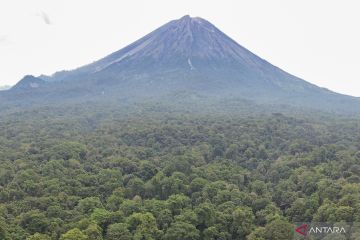 Wisata minat khusus Ranu Darungan di kawasan TNBTS